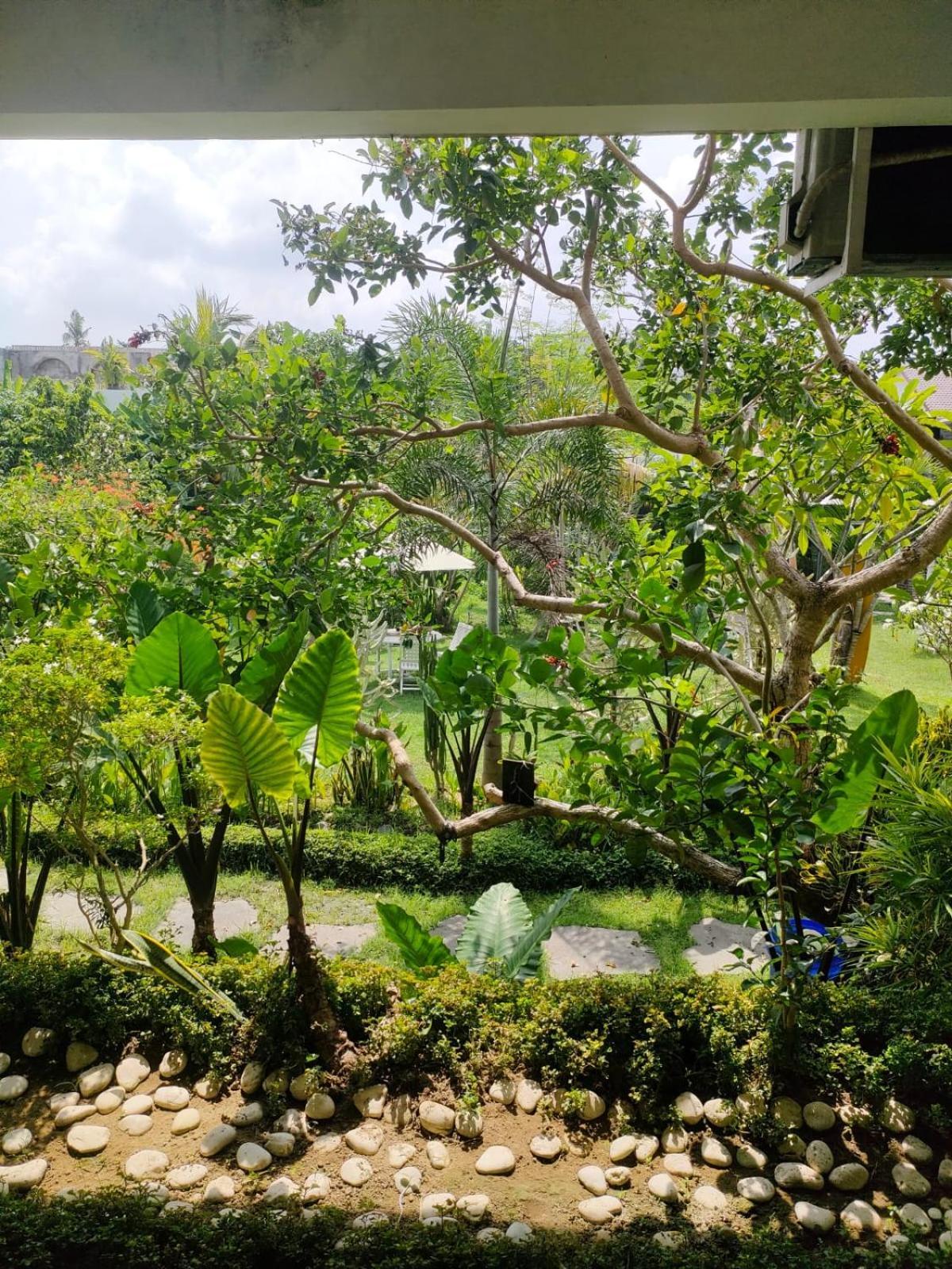 Villa Lotus 8 Canggu  Luaran gambar