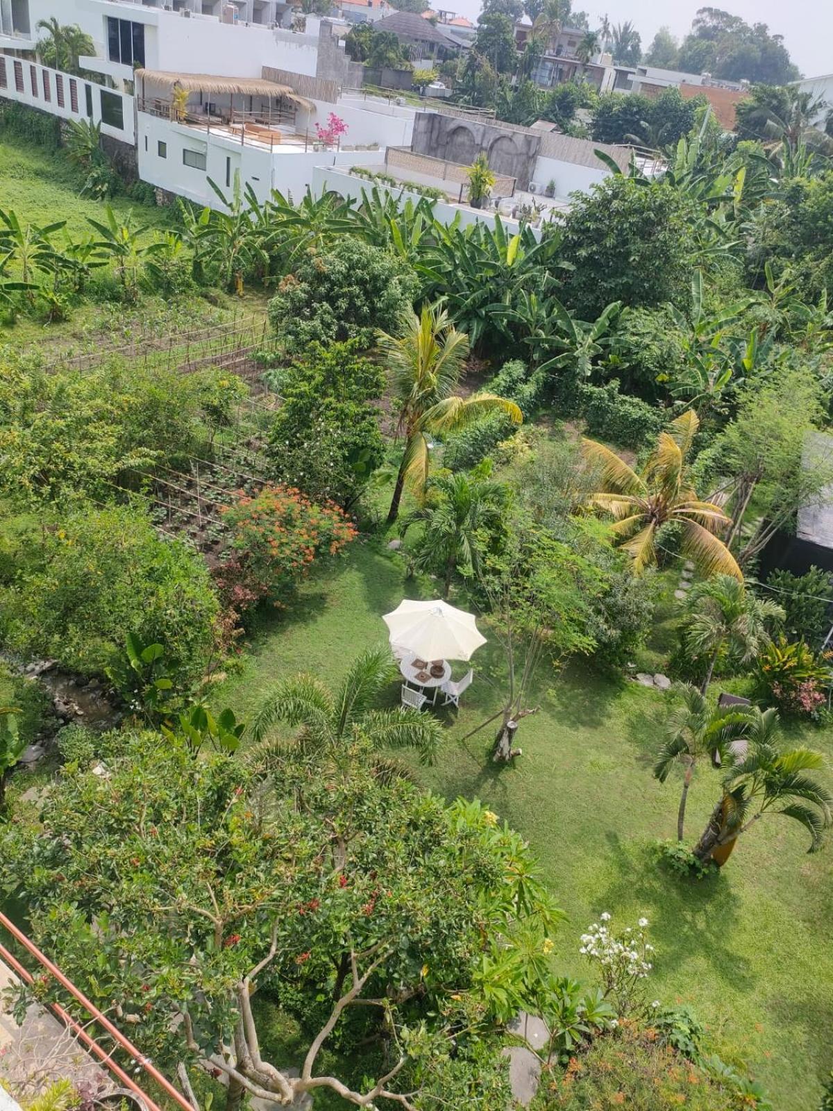 Villa Lotus 8 Canggu  Luaran gambar