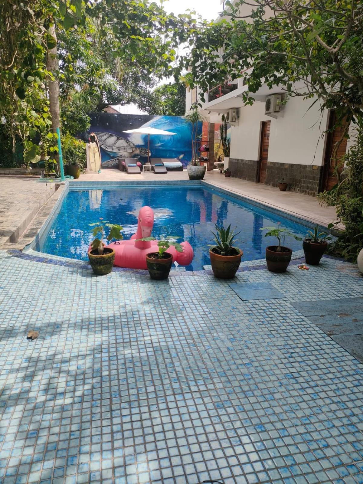 Villa Lotus 8 Canggu  Luaran gambar