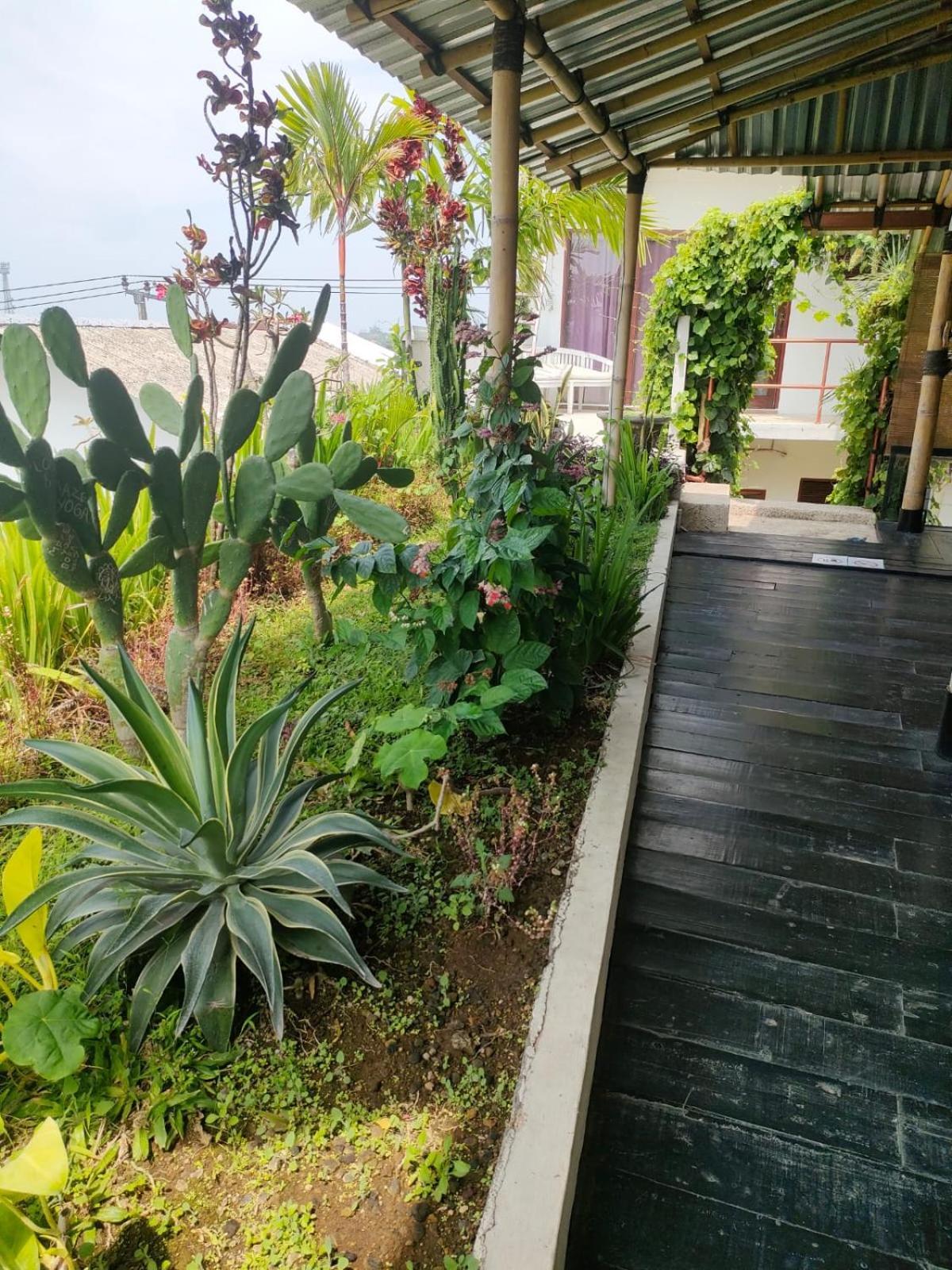 Villa Lotus 8 Canggu  Luaran gambar