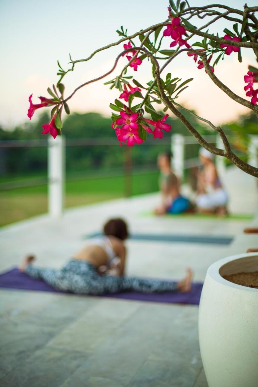 Villa Lotus 8 Canggu  Luaran gambar