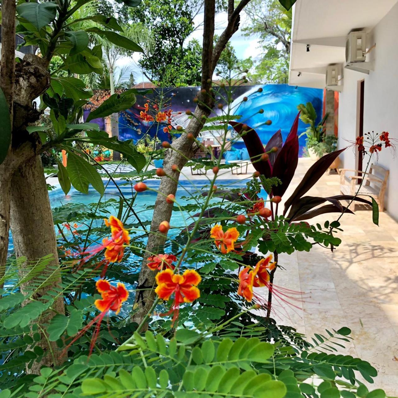 Villa Lotus 8 Canggu  Luaran gambar